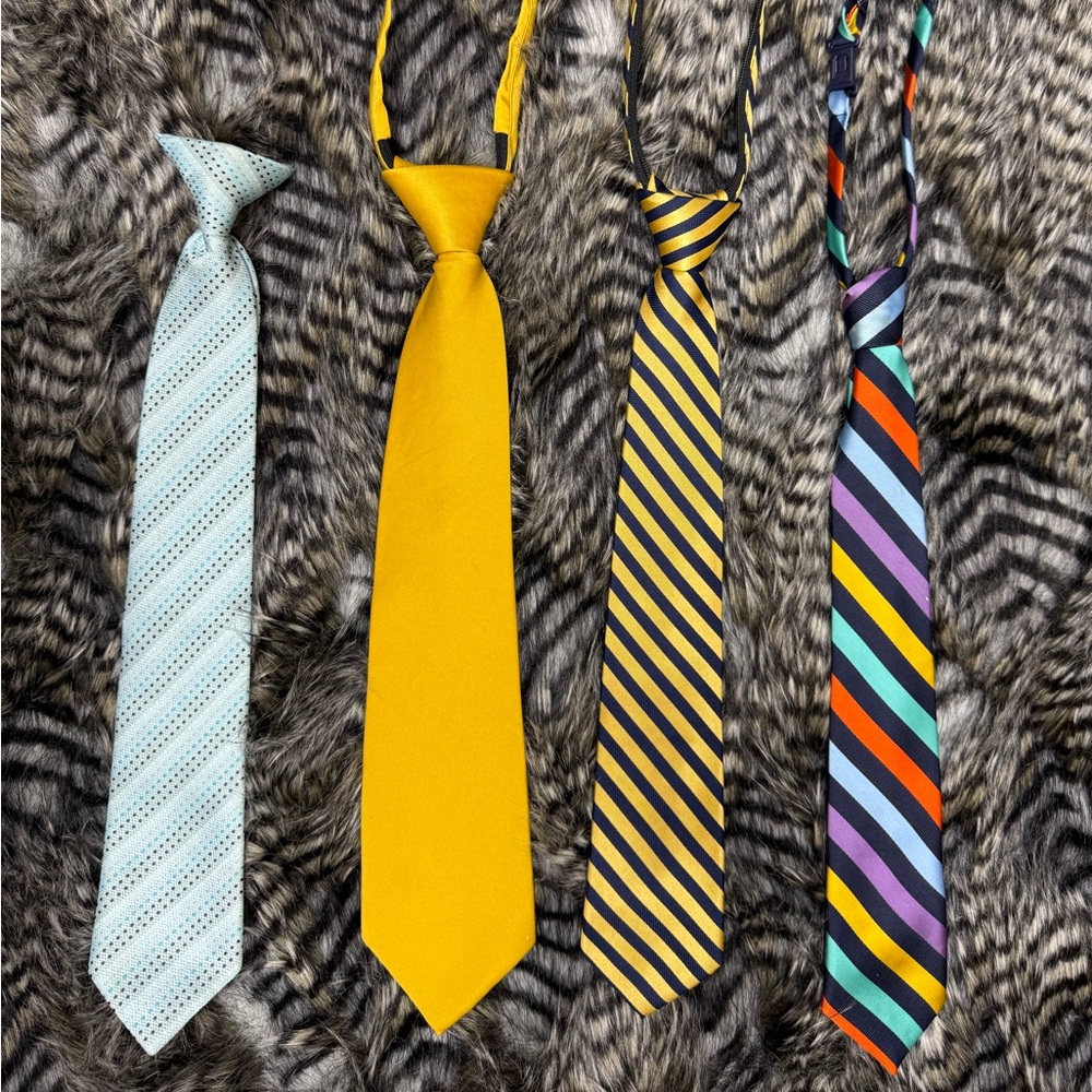 Boys Pre-Tied Necktie Bundle Set - 4 Pack
